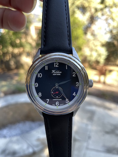 Waldan Watch Heritage Professional in garden